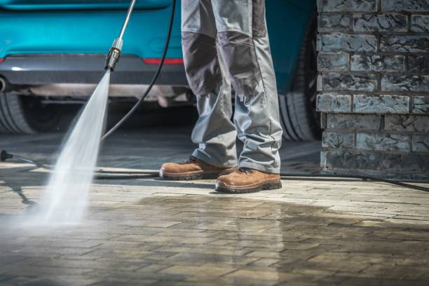 Animal Enclosure Cleaning in Gonzales, CA